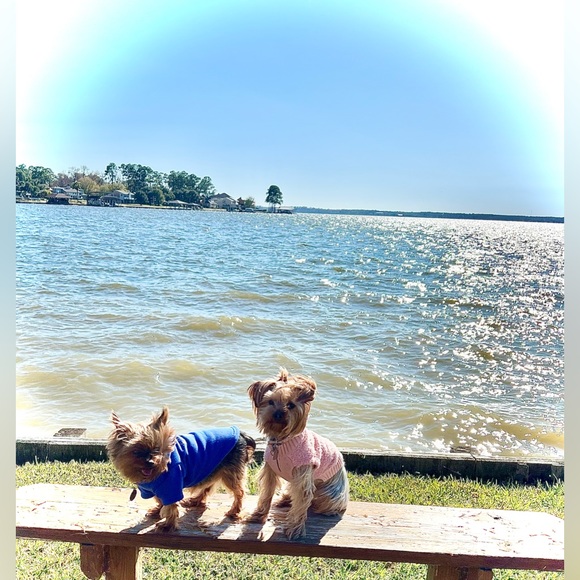 Meet your Posher, Mary - Picture 4 of 4